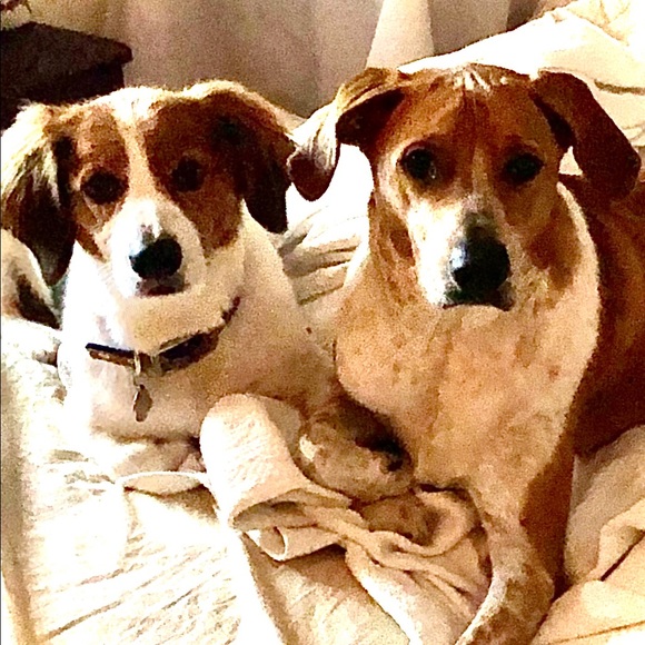 Meet your Posher, Jennifer - Picture 1 of 3